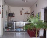 imagen0